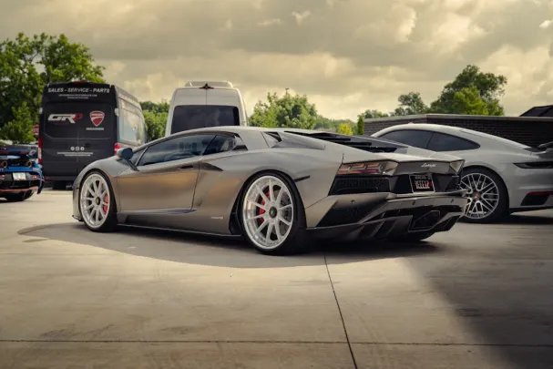 דולי קזינו אפליקציית Android/iOS